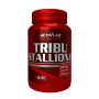 Tribu Stallion 60 tbl - ActivLab